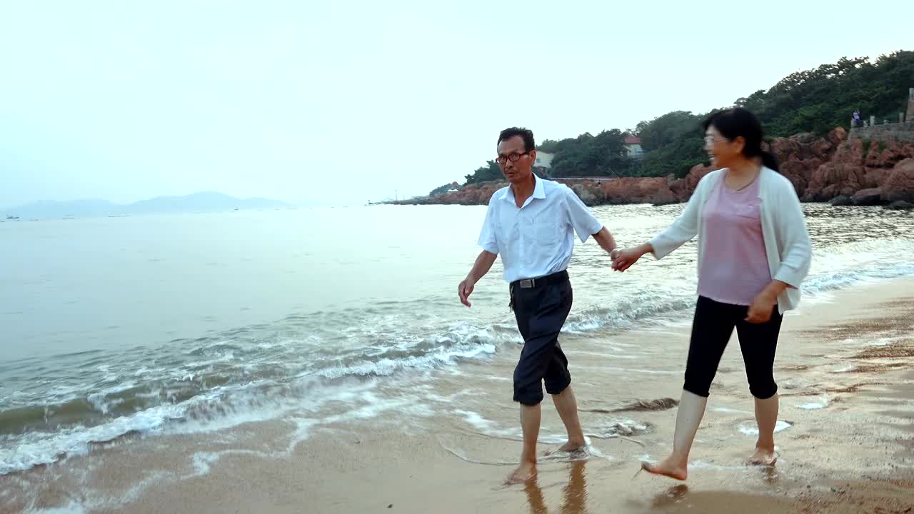 那对老夫妇在海边散步视频素材