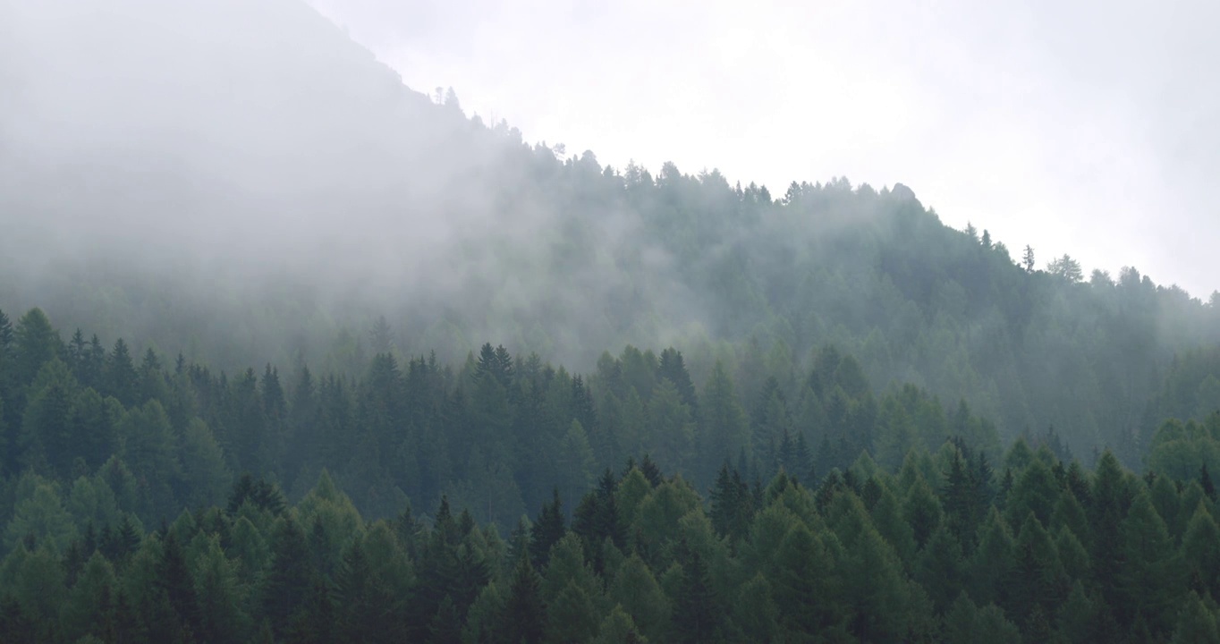 白云岩上冬季森林的时间流逝视频素材