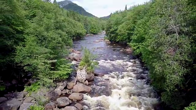 夏季北方自然森林和河流鸟瞰图视频素材