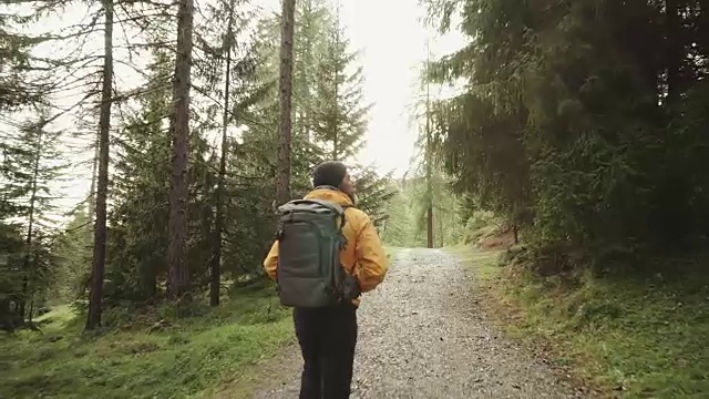 徒步旅行和探索森林地区的人视频素材
