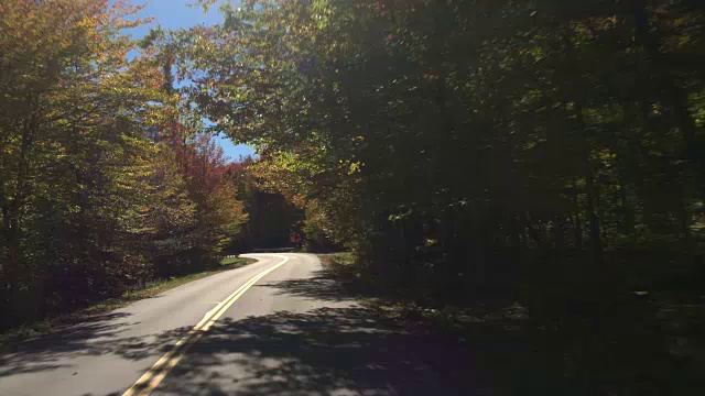 POV LENS FLARE:在阳光明媚的秋日里，驾车穿越美丽多彩的森林视频素材