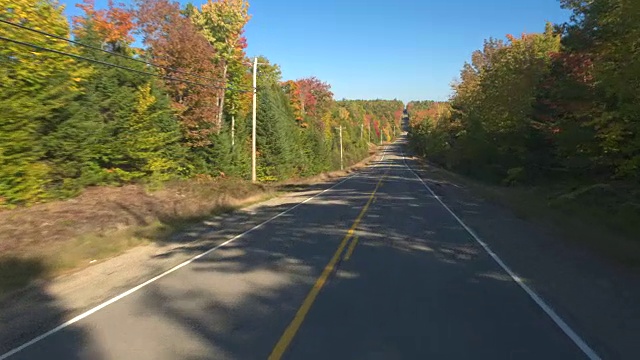 POV:在秋天阳光明媚的日子里，开车经过秋天森林里令人惊叹的彩色树木视频素材
