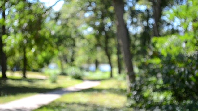 抽象模糊的背景徒步小径在绿树成荫的公园视频素材