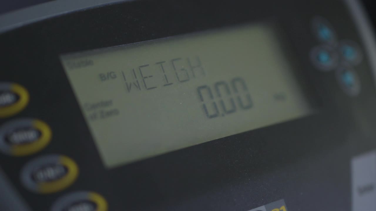 极端近距离关注的重量测量数字秤显示的显示器，英国。视频下载