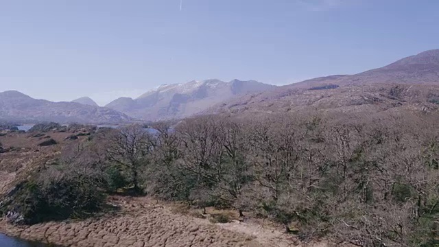 无人机拍摄的湖泊和光秃秃的树木对山脉视频素材