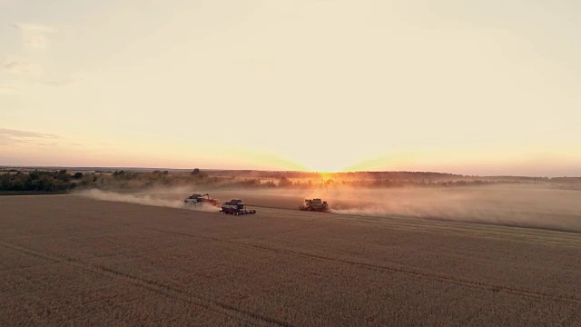 用无人机收割机拍摄日落时分麦田里的航拍照片视频素材
