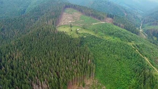 森林砍伐。无人机拍摄的乌克兰喀尔巴阡森林视频素材