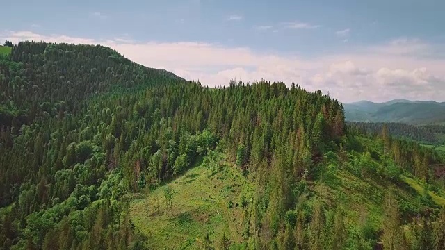 航拍山谷、山脉、松树、松针。从鸟瞰蓝天视频素材