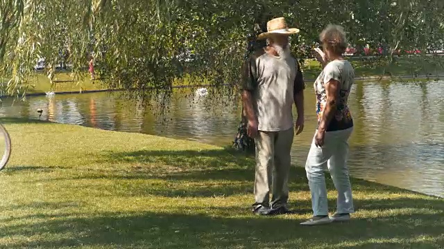 一对老夫妇在公园的湖边见朋友视频下载