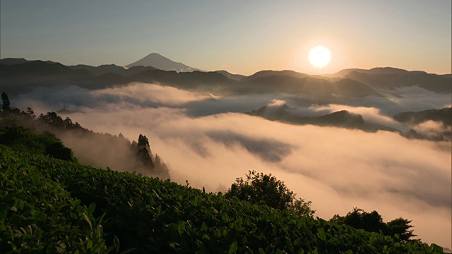 长镜头:日本静冈县，被朝阳照亮的云海视频素材