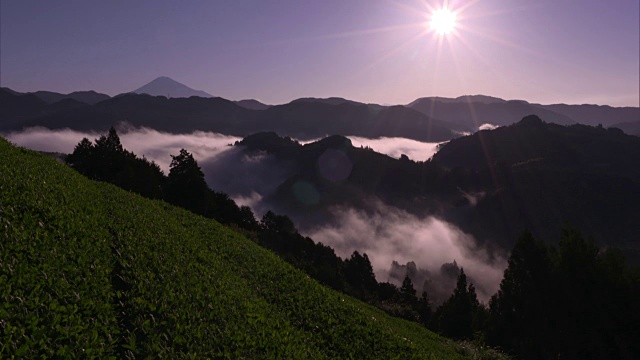 长镜头:日本静冈县良内地区，陡峭山谷中的茶园和群山中的云海视频素材