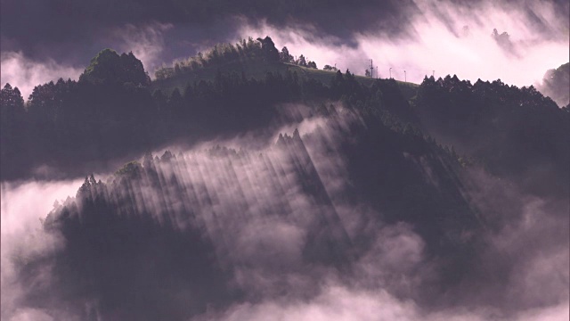 鸟瞰图:云海在山之间的龙内地区，静冈，日本视频素材