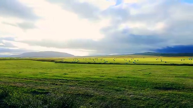 冰岛的农业放牧地视频下载