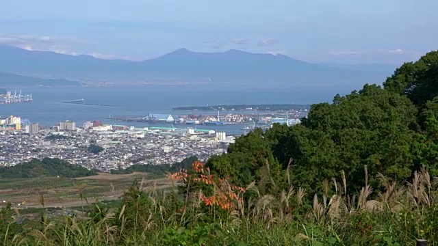 从静冈县鸟瞰清水海港和富士山视频素材