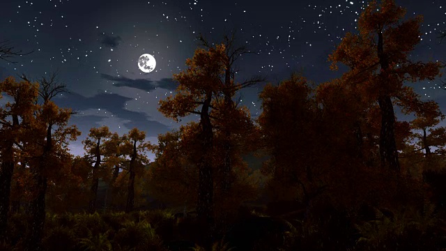 阴森森的夜森林里的满月视频素材