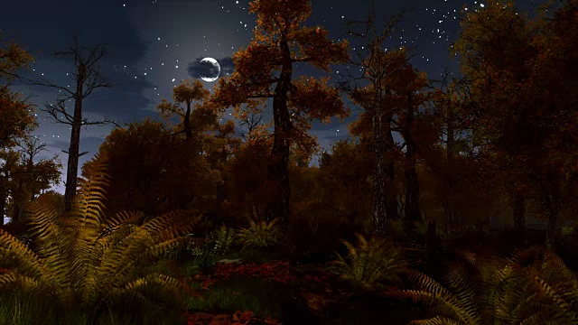 满月之夜可怕的秋天森林视频素材