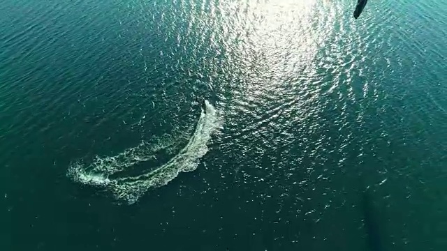 无人机拍摄的风筝滑板在纳皮格，萨福克郡，长岛，美国纽约州懒点湾视频下载