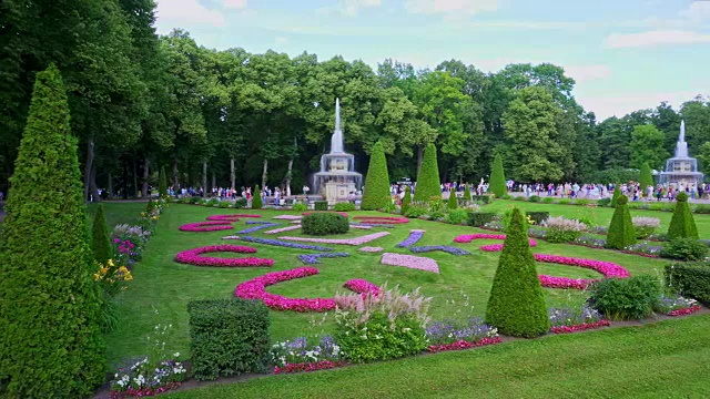 一个美丽的有喷泉的夏日公园全景图。Peterhof视频下载