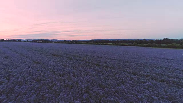 空中开花的田野匈牙利巴拉顿湖视频下载