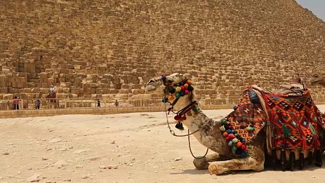在埃及吉萨，大金字塔的时间在日落时流逝视频素材