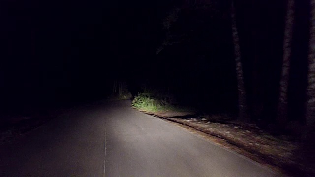 晚上在乡村森林道路上开车，pov视频下载