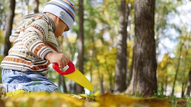 孩子们在秋天的公园里玩树叶，在新鲜的空气中散步视频下载