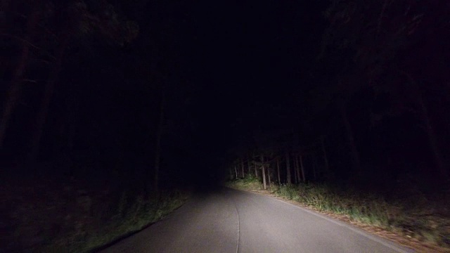 晚上在乡村森林的路上开车，pov视频素材