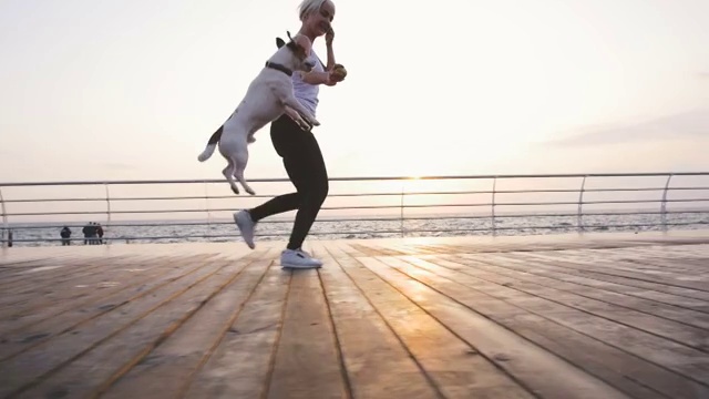 年轻女子和可爱的狗杰克罗素在海边跑步，慢镜头视频素材
