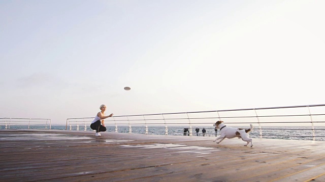年轻女子在海边训练可爱的小狗杰克罗素，慢动作视频素材