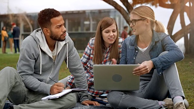 多种族的男学生和他的两个白人女同学在公园里学习视频素材