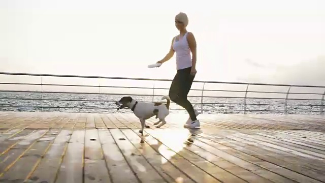 一个年轻的女人和可爱的狗杰克罗素在海边跑步视频素材