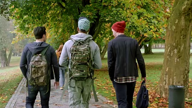秋天的早晨，三个男学生在公园里散步视频素材
