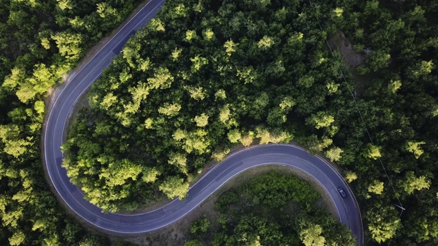 公路旅行通过森林-空中的观点视频素材