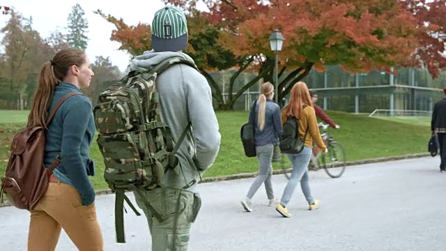 男学生和女学生一边聊天一边走向大学大楼视频素材