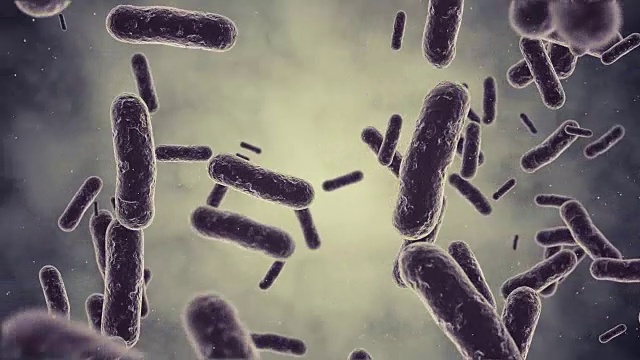 细菌Animaton视频素材