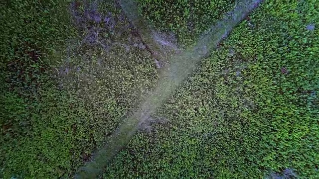 在夏日阳光明媚的傍晚，无人机正上方俯瞰波科诺山脉森林附近草地上的小径。视频素材