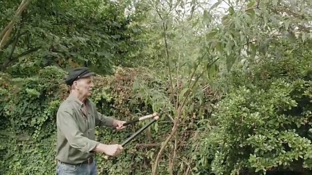 在他的花园里修剪一棵树的南欧高级男子视频素材