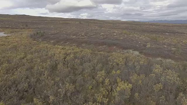 阿拉斯加苔原荒野航拍镜头视频素材