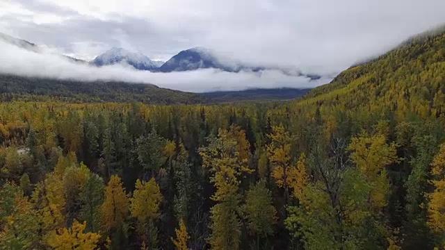 飞过秋天的树木和阿拉斯加的山脉视频下载