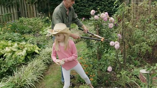 孙女帮爷爷在花园里修剪花草视频素材