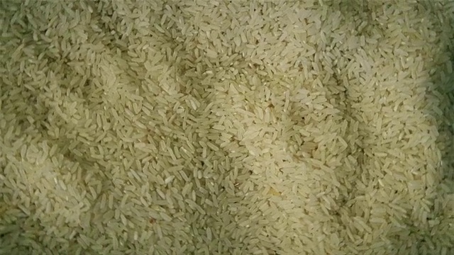 博览会上容器上的米粒视频下载