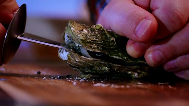 用牡蛎刀切开新鲜的牡蛎视频素材