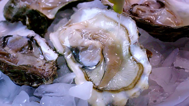 盛有冰块和柠檬的牡蛎视频素材
