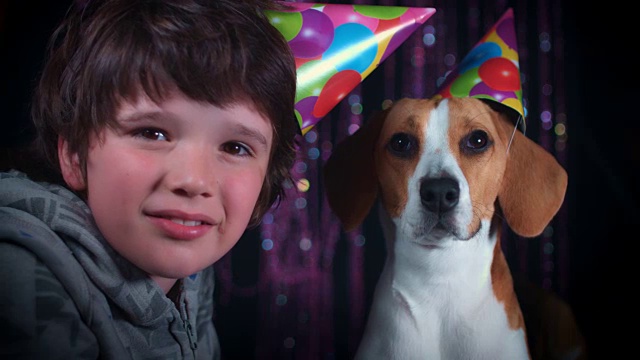 4k生日比格犬和快乐的孩子视频素材