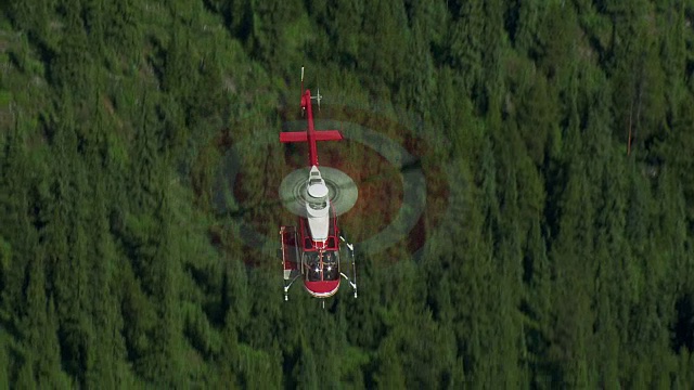 直升机飞过加拿大阿尔伯塔省的森林视频素材