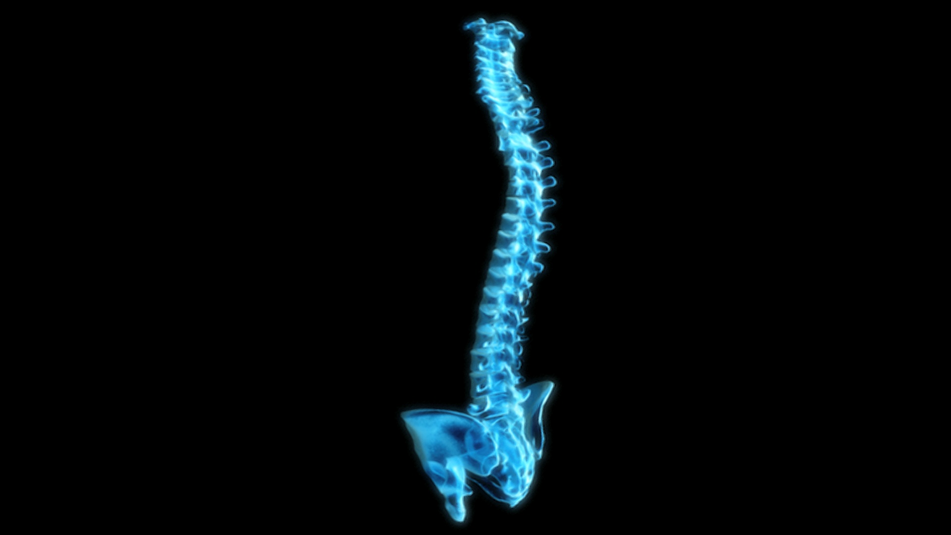 x线图显示脊柱和骶区360度旋转的动画。视频下载