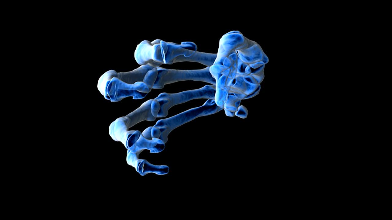 在x光视图下，动画描绘的是手部骨骼的旋转，手指张开来演示动作。视频素材