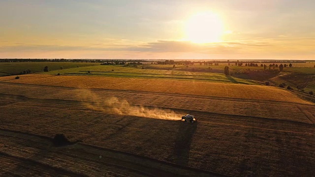 日落时分阳光下的联合收割机。在金色的田野上收割小麦。鸟瞰图。视频素材
