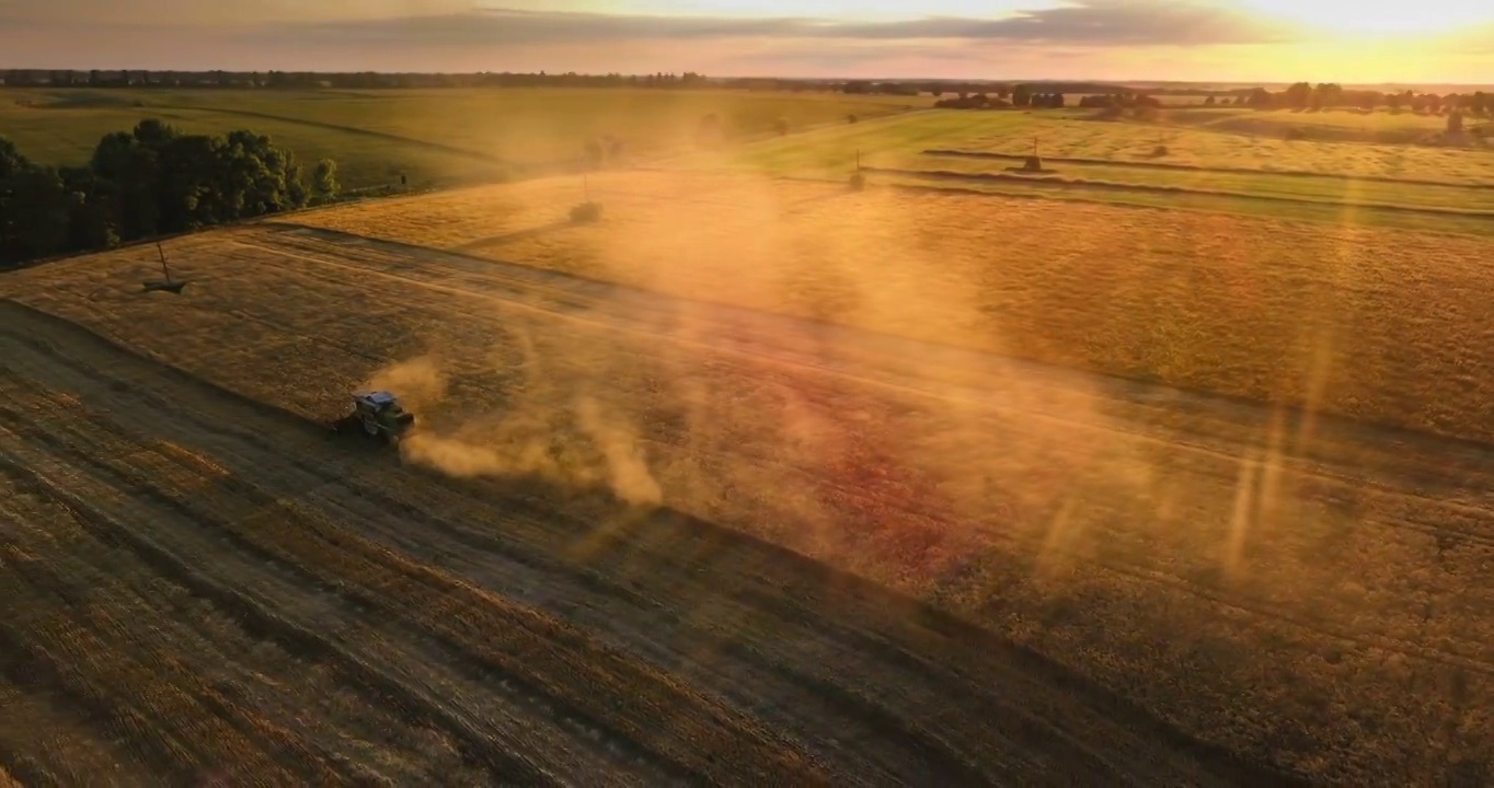 日落时分阳光下的联合收割机。在金色的田野上收割小麦。鸟瞰图。视频素材