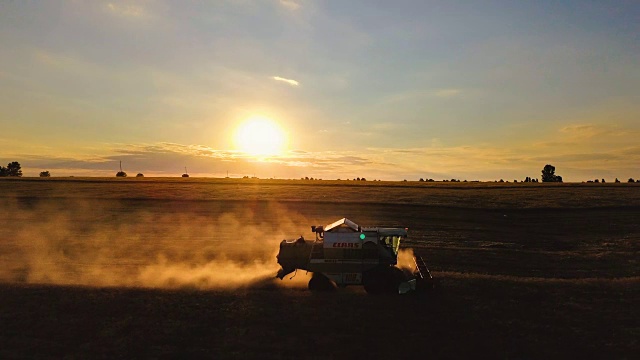 日落时背光的联合收割机。在金色的田野上收割小麦。鸟瞰图。视频素材